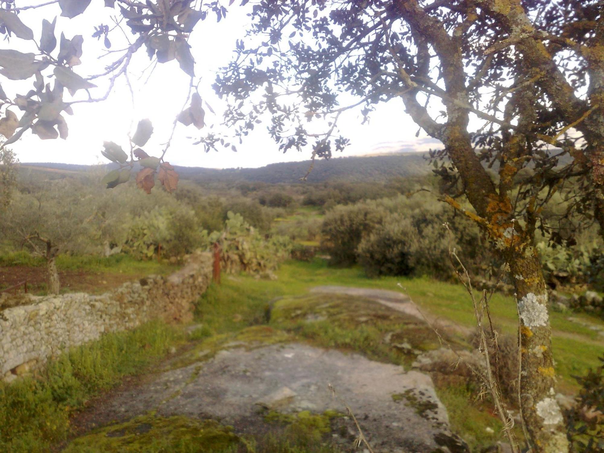 Apartamentos El Jardin Del Poeta Guijo de Granadilla Εξωτερικό φωτογραφία