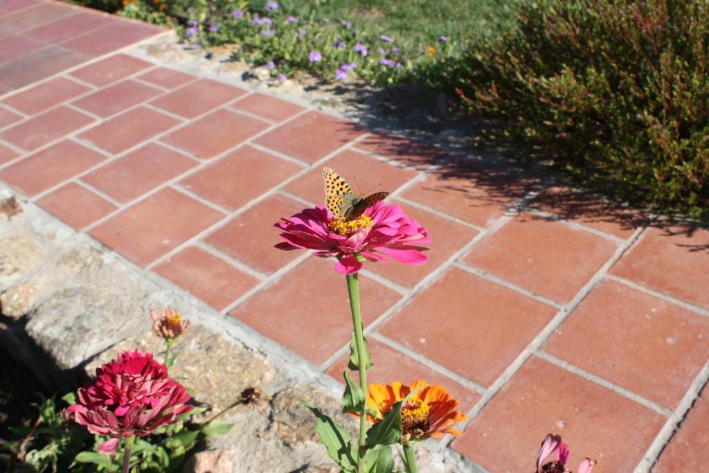 Apartamentos El Jardin Del Poeta Guijo de Granadilla Εξωτερικό φωτογραφία