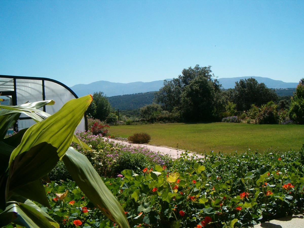Apartamentos El Jardin Del Poeta Guijo de Granadilla Εξωτερικό φωτογραφία