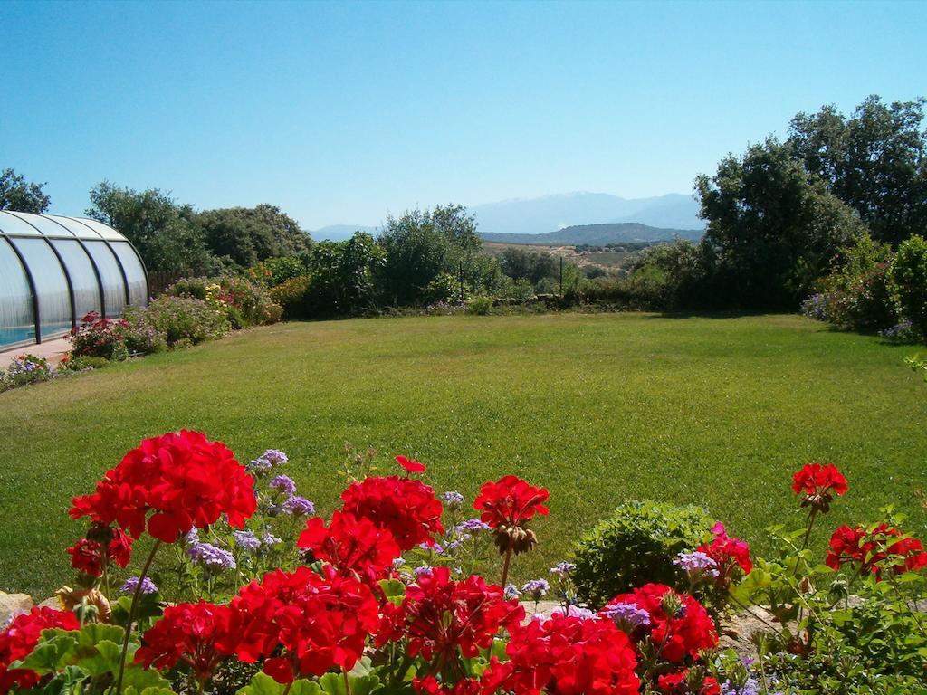 Apartamentos El Jardin Del Poeta Guijo de Granadilla Εξωτερικό φωτογραφία