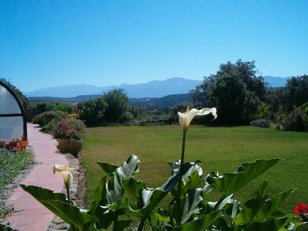 Apartamentos El Jardin Del Poeta Guijo de Granadilla Εξωτερικό φωτογραφία